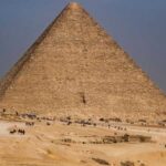  - برفيلكس - brieflex