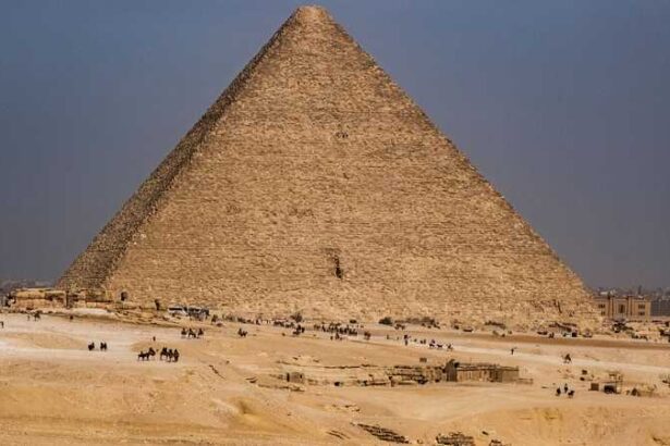 1-1849946 - برفيلكس - brieflex