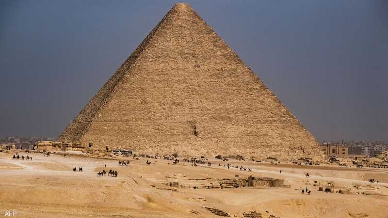  - برفيلكس - brieflex