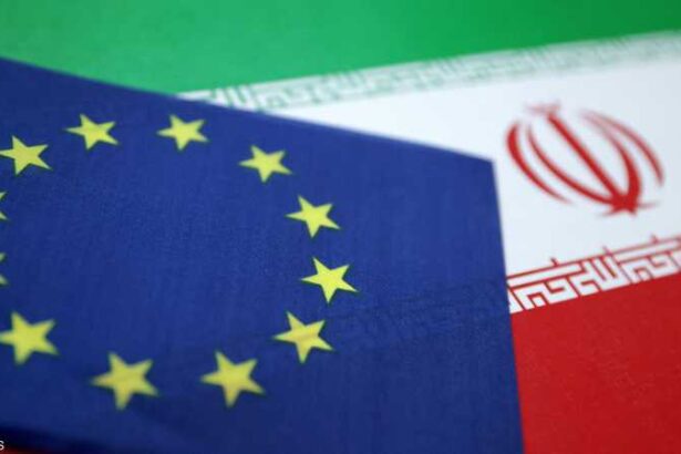 1-1854418 - برفيلكس - brieflex