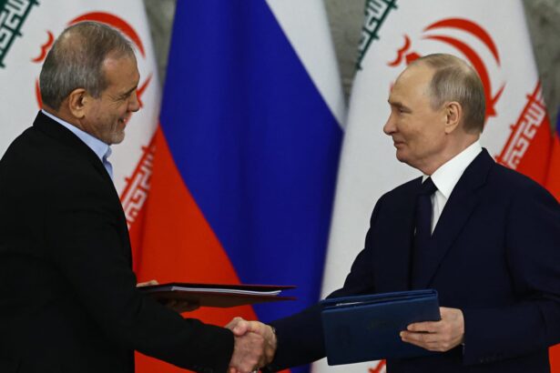  - برفيلكس - brieflex