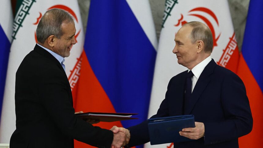  - برفيلكس - brieflex