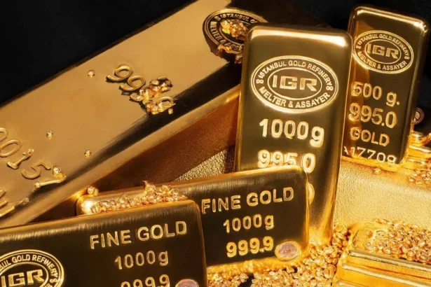  - برفيلكس - brieflex