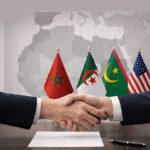  - برفيلكس - brieflex