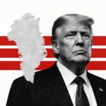  - برفيلكس - brieflex