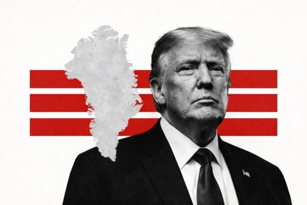  - برفيلكس - brieflex