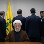  - برفيلكس - brieflex