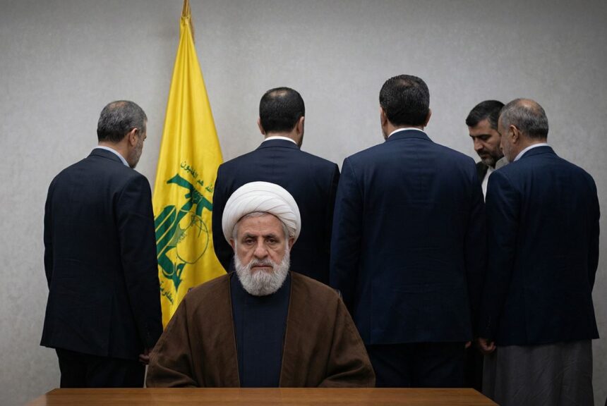  - برفيلكس - brieflex