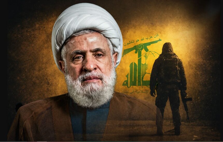  - برفيلكس - brieflex