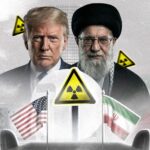  - برفيلكس - brieflex