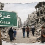  - برفيلكس - brieflex