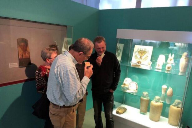  - برفيلكس - brieflex