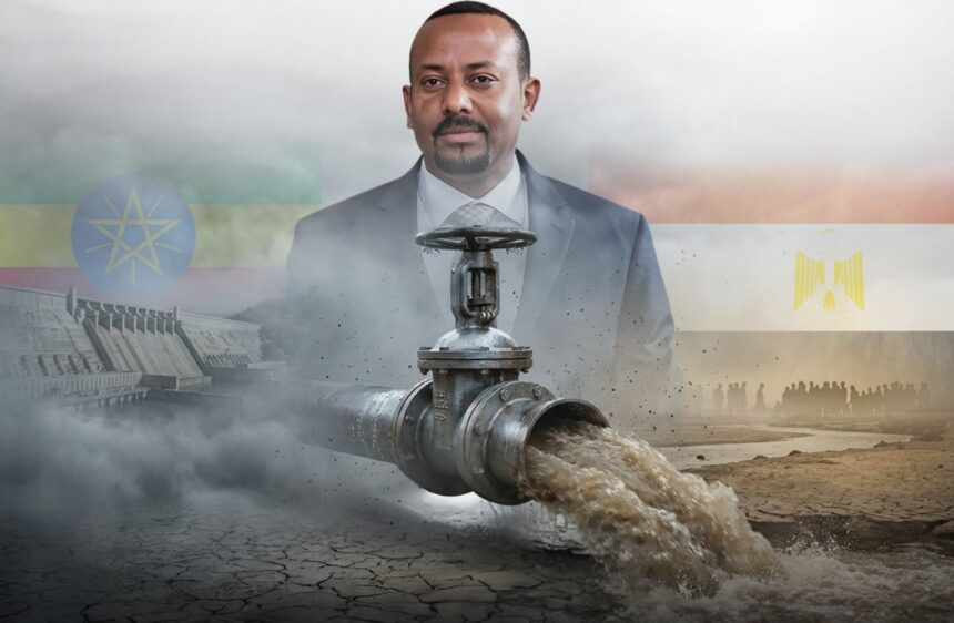  - برفيلكس - brieflex