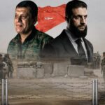  - برفيلكس - brieflex