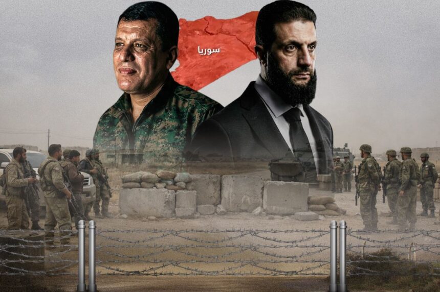  - برفيلكس - brieflex