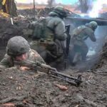  - برفيلكس - brieflex