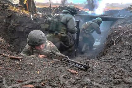  - برفيلكس - brieflex