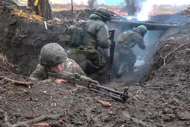  - برفيلكس - brieflex