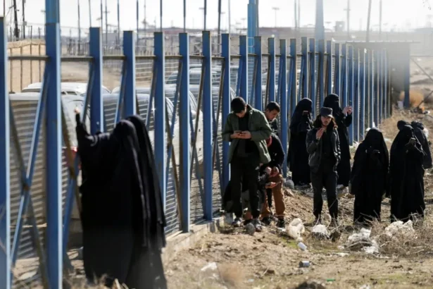  - برفيلكس - brieflex