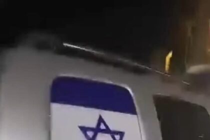  - برفيلكس - brieflex