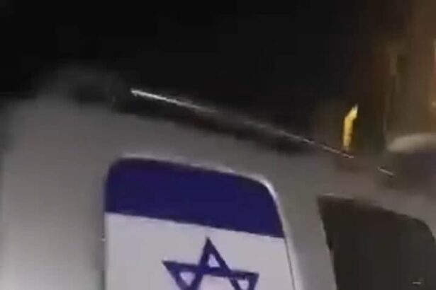  - برفيلكس - brieflex