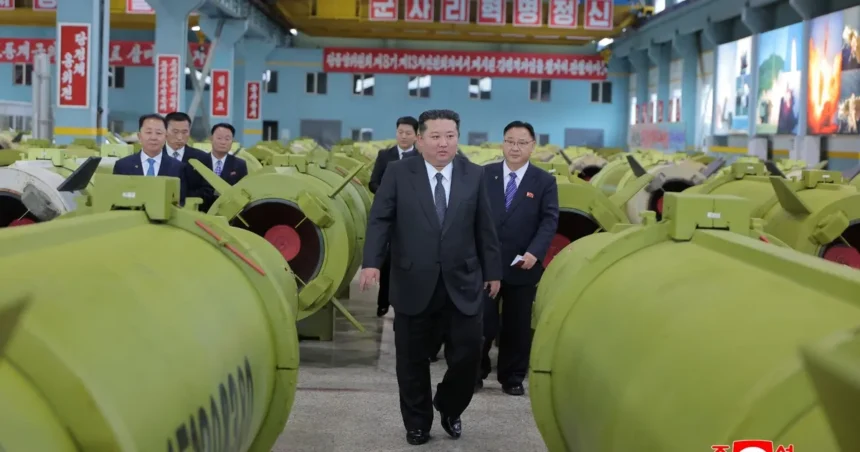  - برفيلكس - brieflex