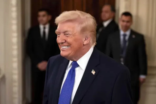  - برفيلكس - brieflex