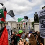  - برفيلكس - brieflex