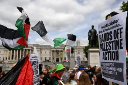  - برفيلكس - brieflex