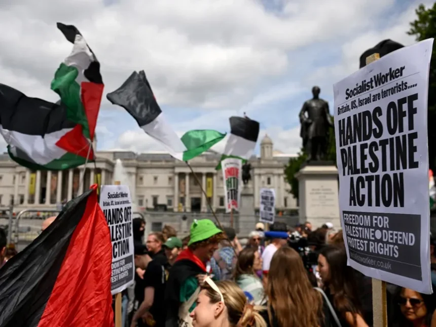  - برفيلكس - brieflex