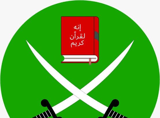  - برفيلكس - brieflex