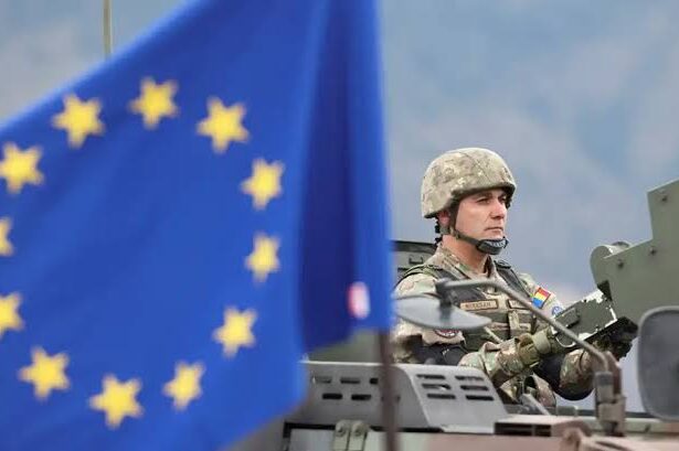  - برفيلكس - brieflex