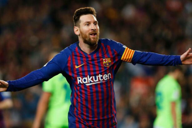  - برفيلكس - brieflex