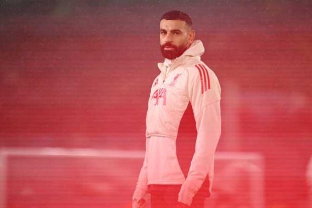  - برفيلكس - brieflex