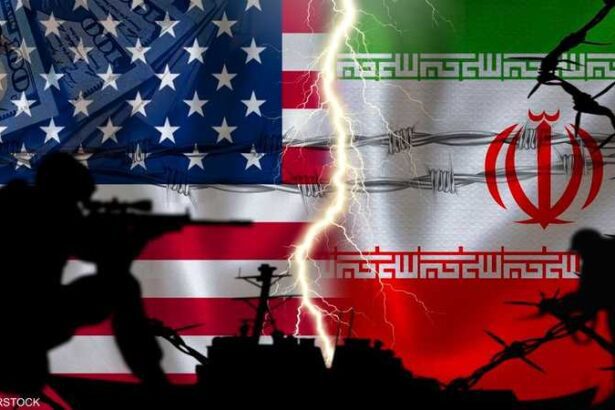  - برفيلكس - brieflex