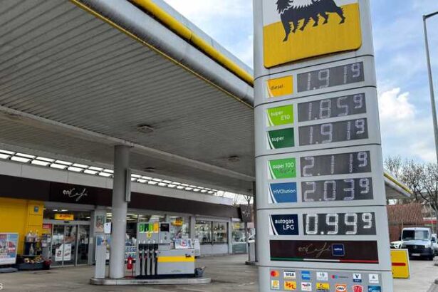  - برفيلكس - brieflex