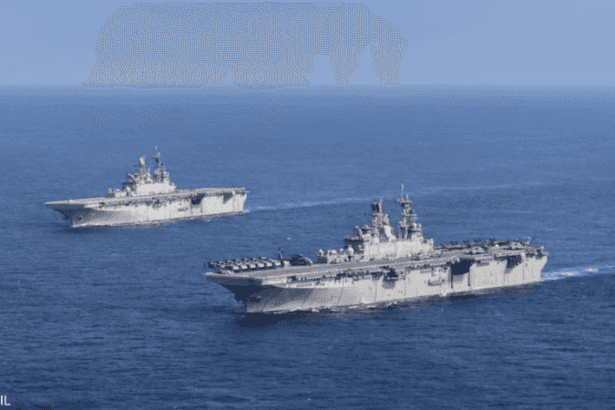  - برفيلكس - brieflex