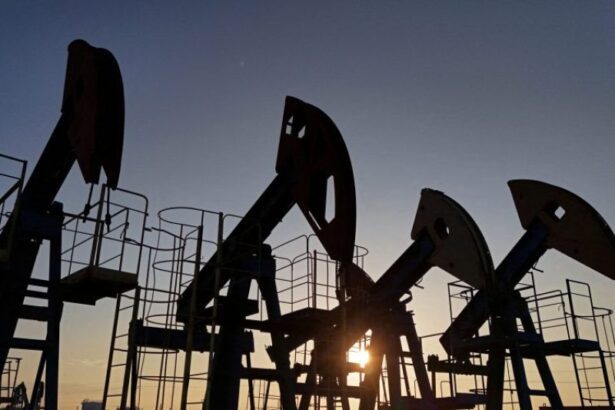  - برفيلكس - brieflex