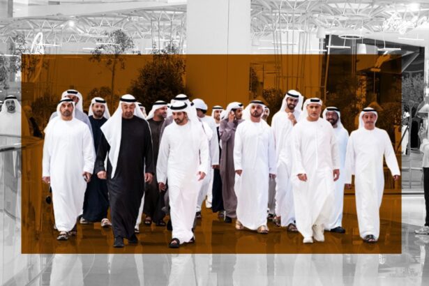  - برفيلكس - brieflex