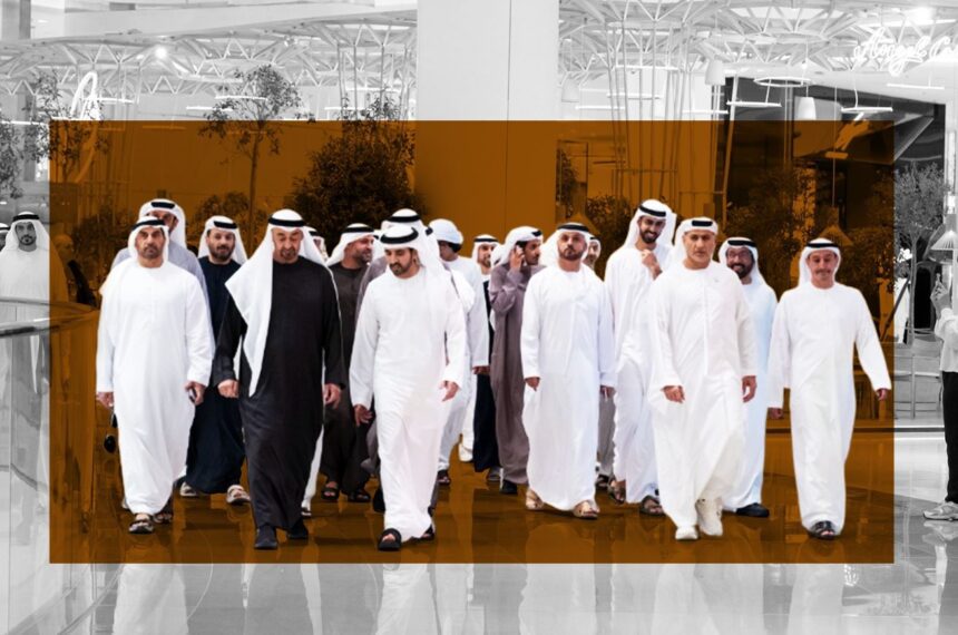  - برفيلكس - brieflex