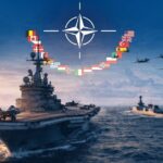  - برفيلكس - brieflex