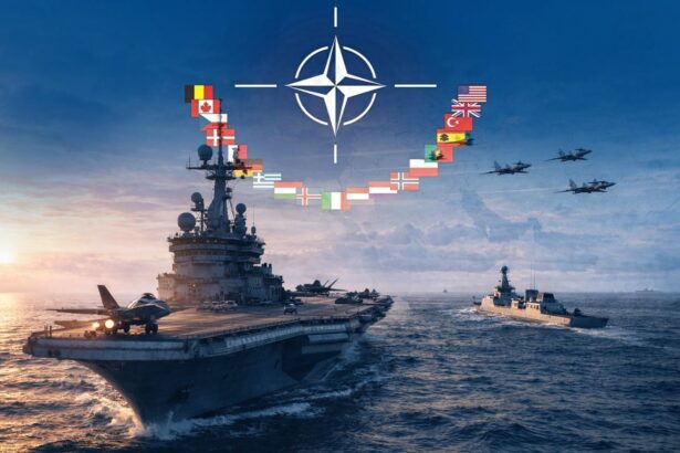  - برفيلكس - brieflex