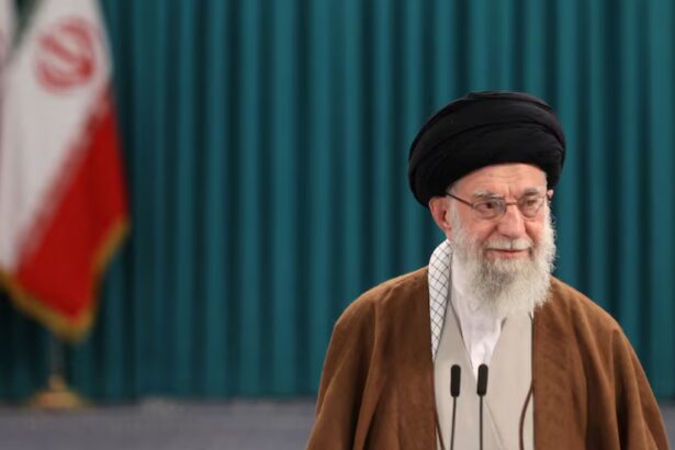  - برفيلكس - brieflex