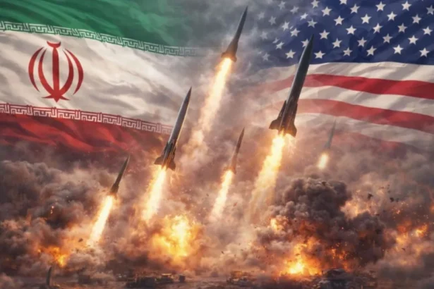  - برفيلكس - brieflex