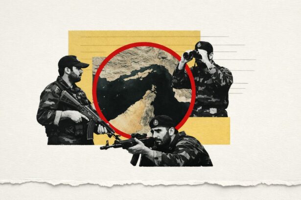  - برفيلكس - brieflex