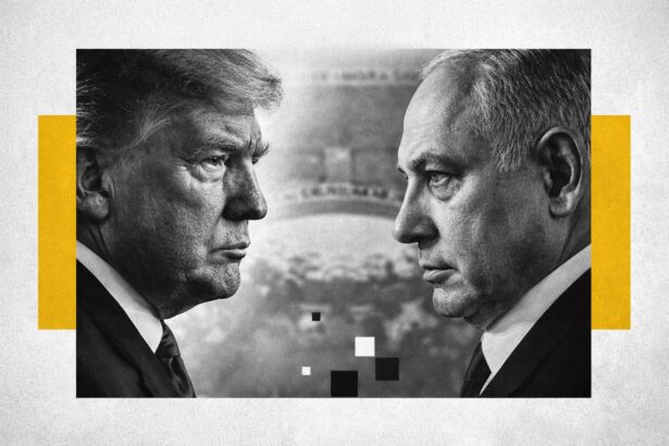  - برفيلكس - brieflex