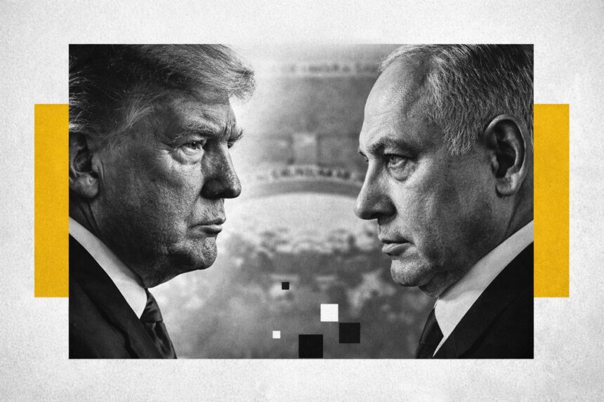  - برفيلكس - brieflex