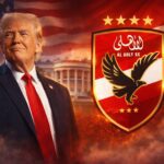  - برفيلكس - brieflex