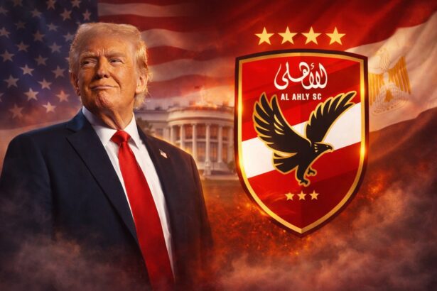  - برفيلكس - brieflex