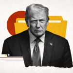  - برفيلكس - brieflex